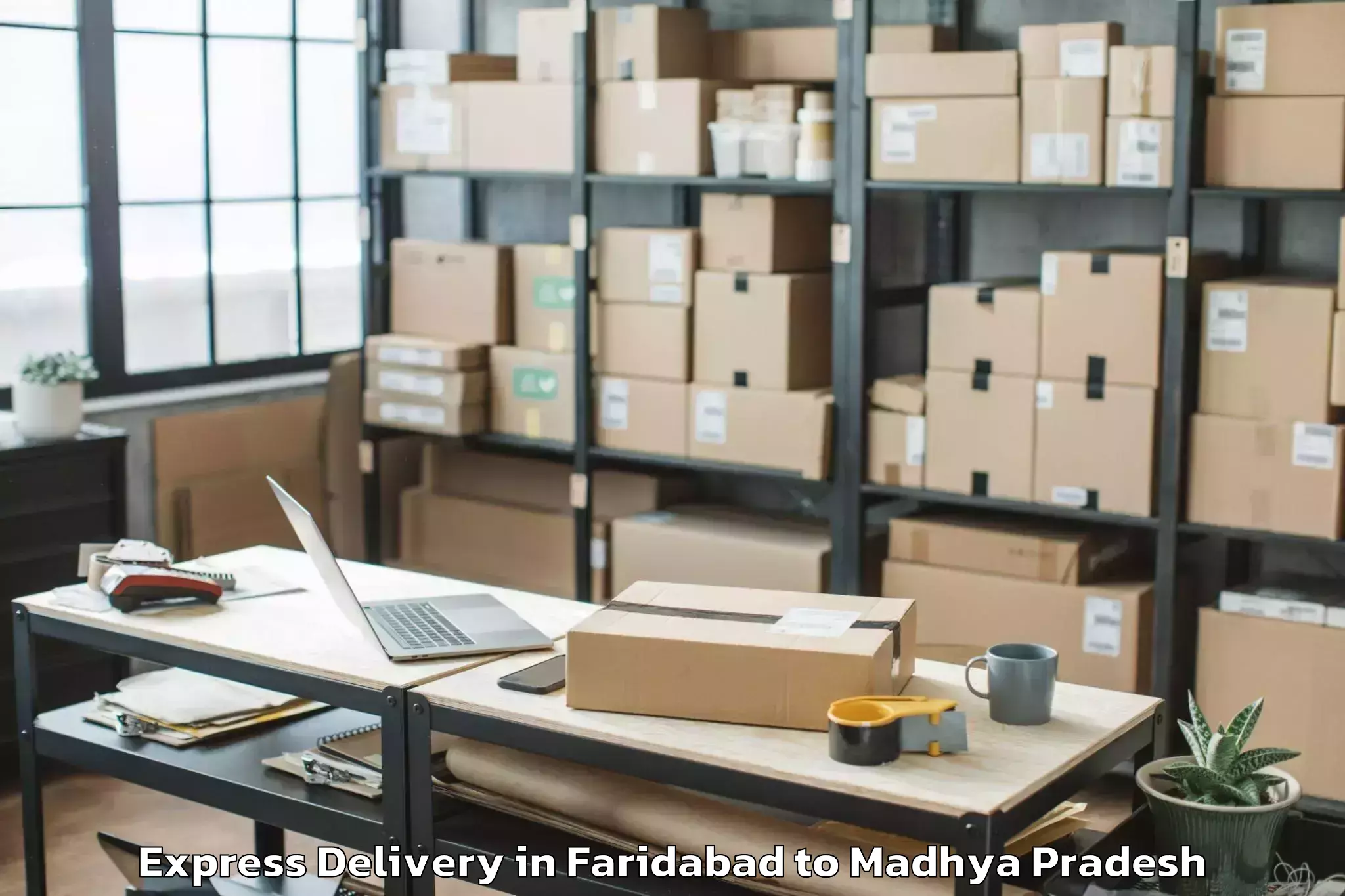 Book Faridabad to Pichhore Express Delivery Online